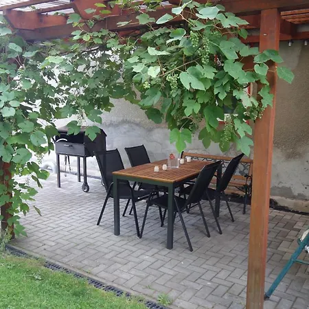 Pod Chlumem - Utulny Byt V Blizkosti Centra Decin Exterior photo